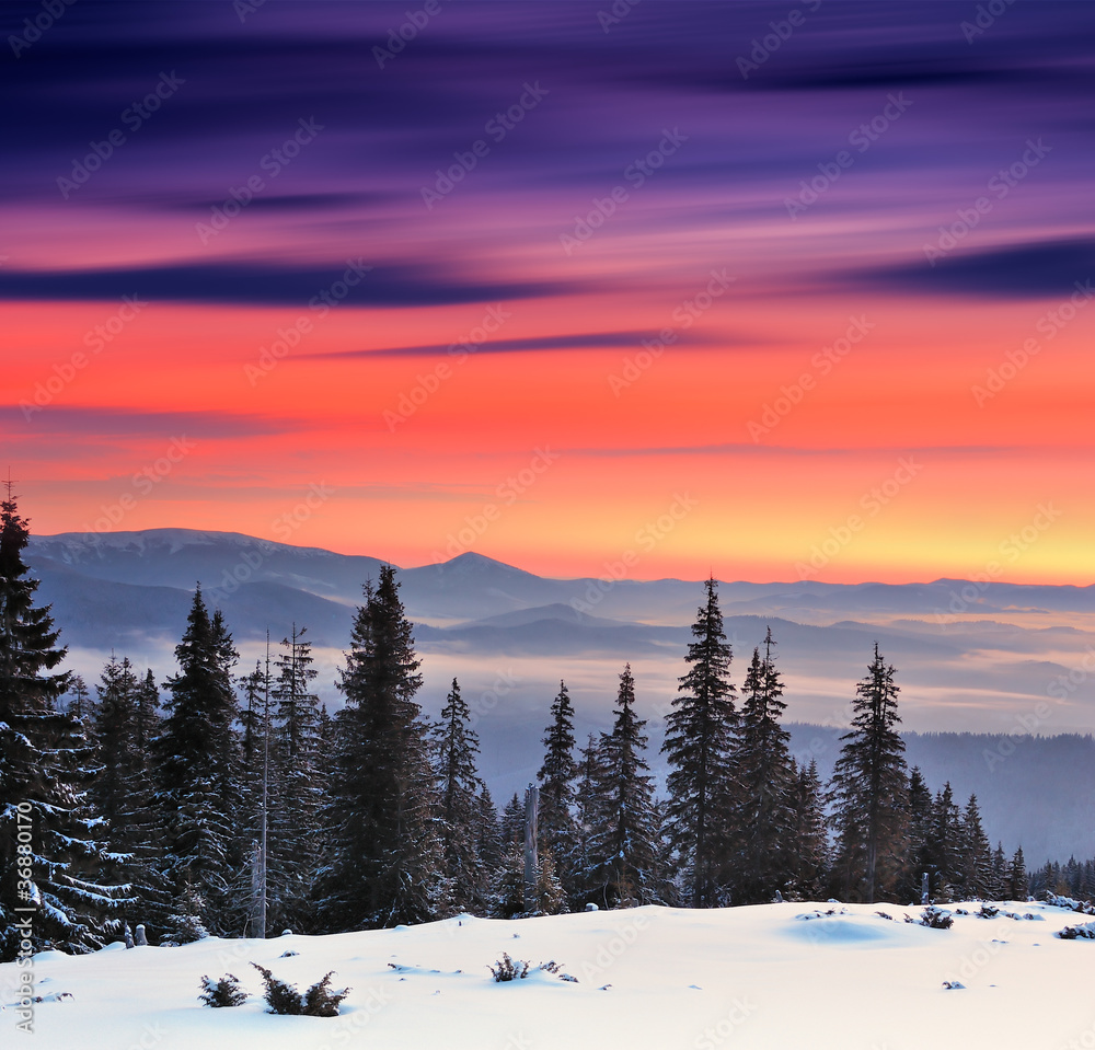 Naklejka premium Winter landscape