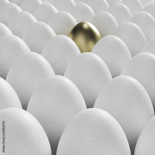 Golden egg among usual whit...