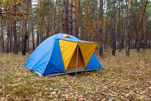 blue touristic tent in a autumn forest