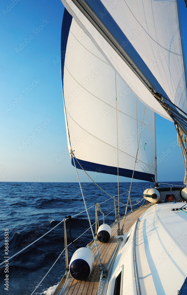 Fototapeta premium Sailing with wind