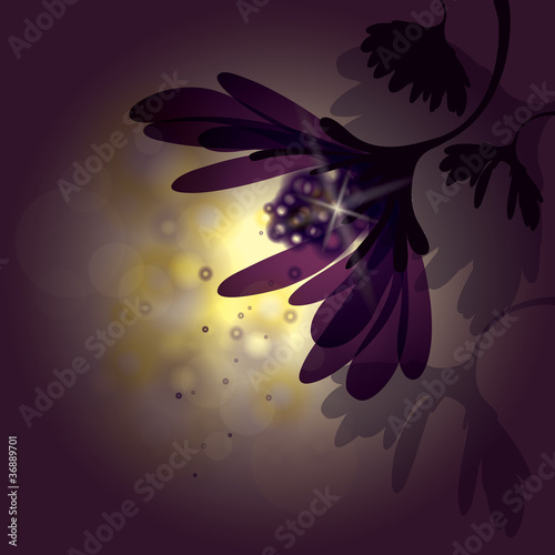 Abstract Flower / Mysterious background