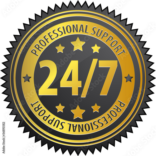 24/7 professional support