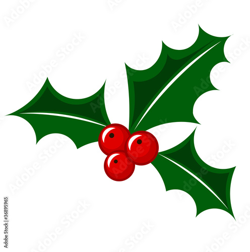 Christmas holly berry