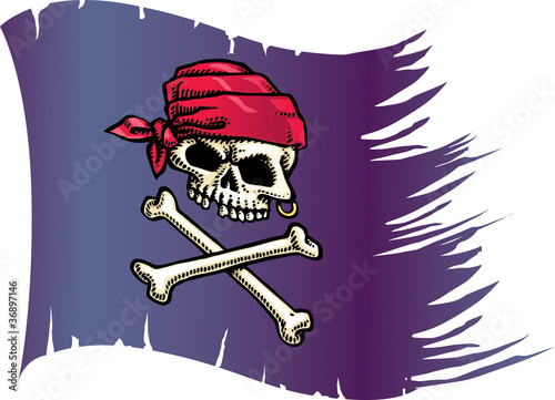 Skull Flag