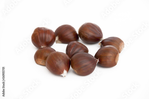 Wallpaper Mural Castagne2 Torontodigital.ca