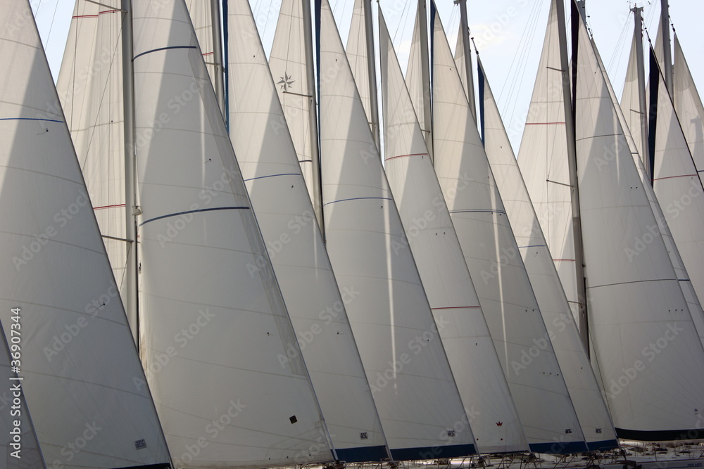 Fototapeta premium sailing boat Yacht Sails main and genoa with nobody
