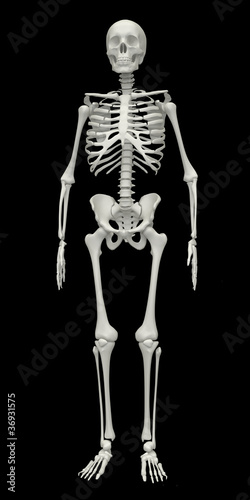 Skeleton © Tsiumpa