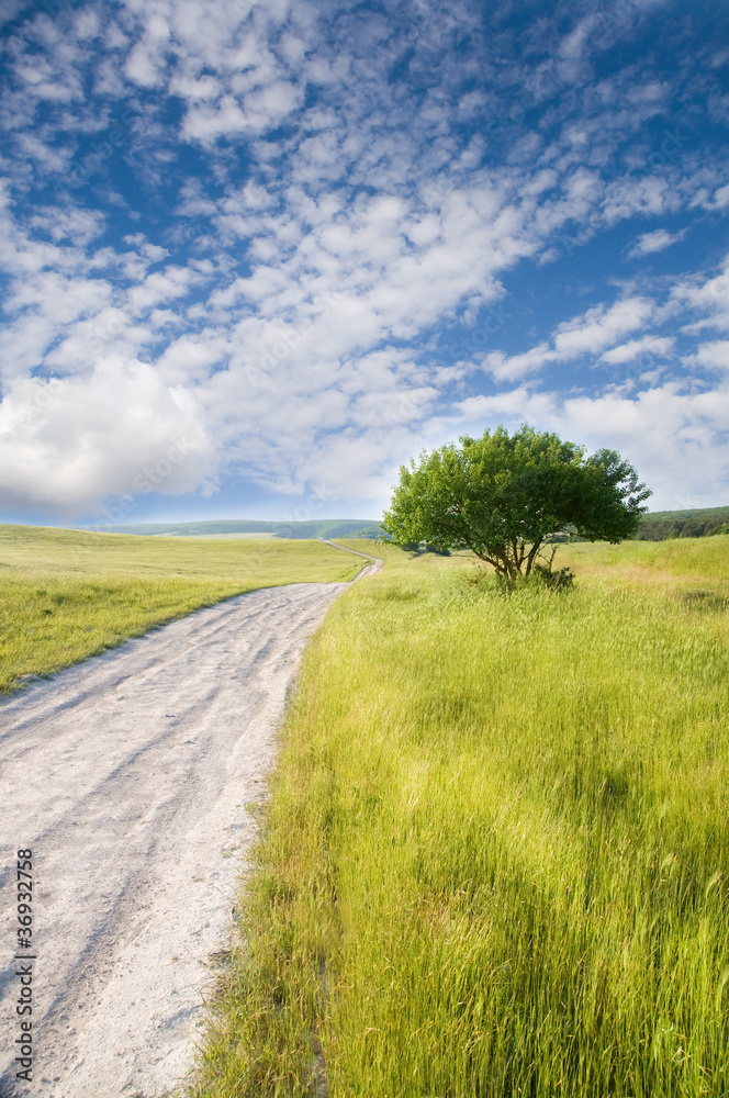 Road amongst green meadow