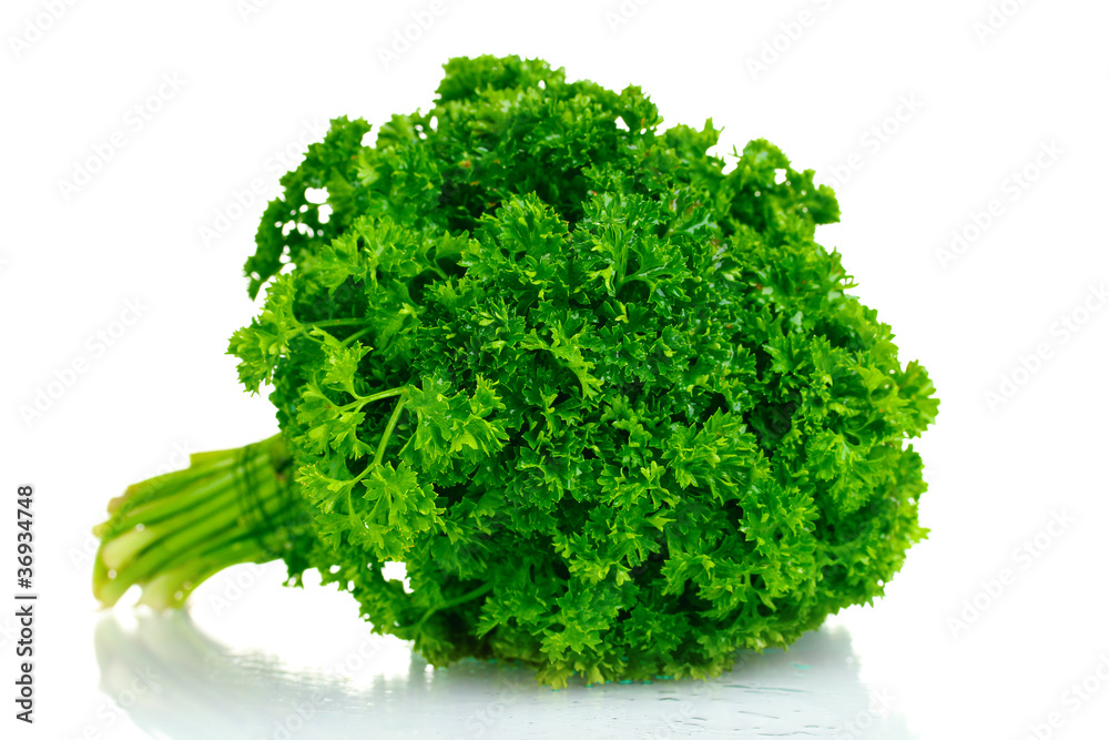 Fototapeta premium fresh bunch of parsley isolated on white