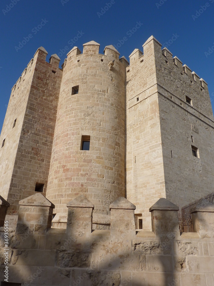 castello a Cordova, Andalusia, Spagna