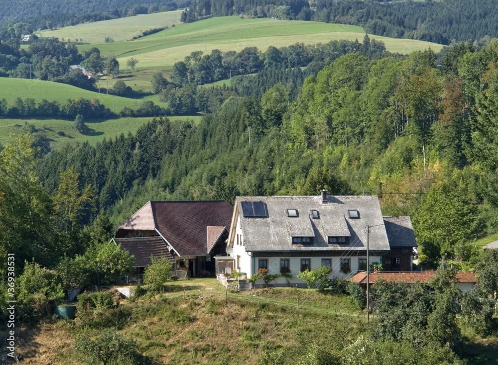 Black Forest scenery at summer time