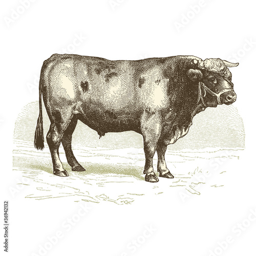 Le Bœuf