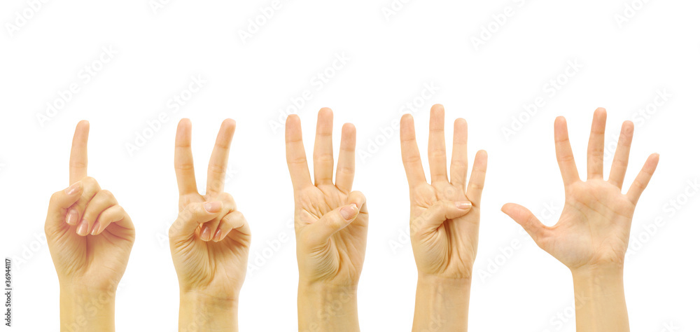 Counting woman hands (1 to 5)