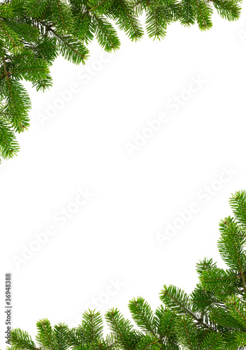 Rahmen aus Tannenzweigen