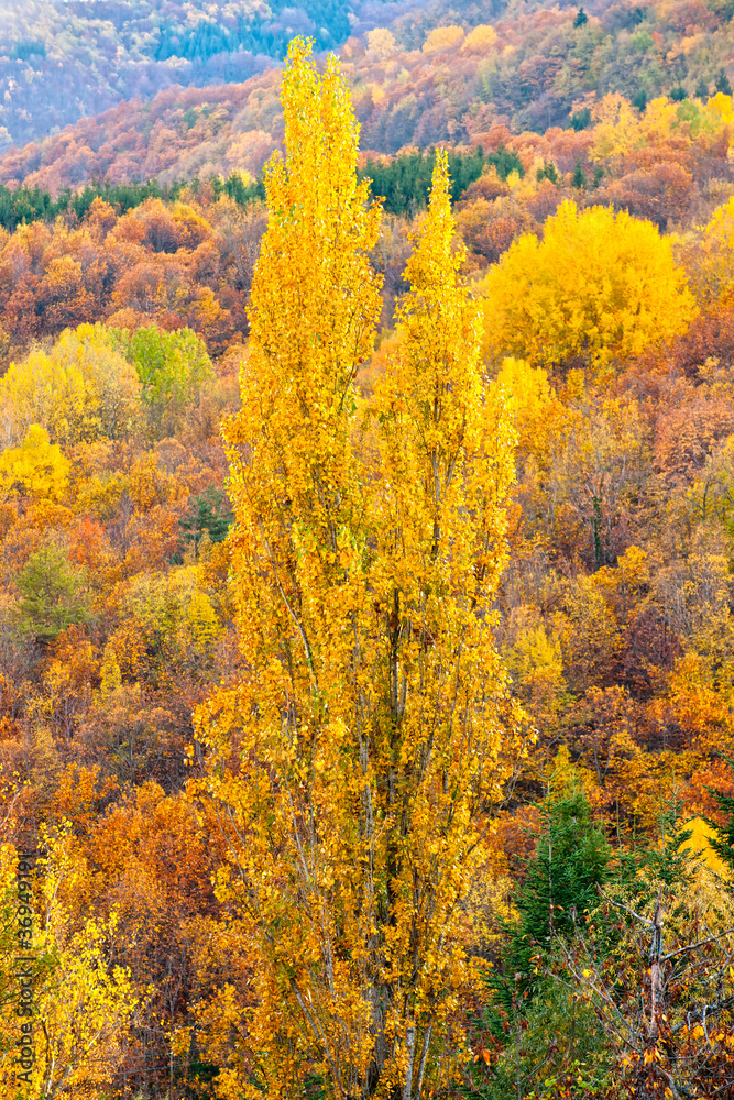 Tuscany landscape, Chianti area, Italy. Tuscany landscape, Chianti area, Italy.