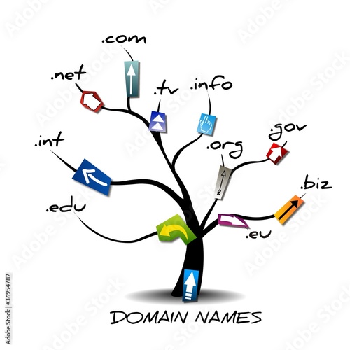 DOMAIN NAMES