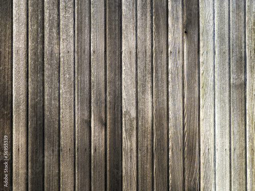 Wood Wall Texture