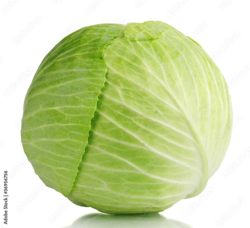 whole green cabbage isolated on white whole green cabbage isolated on white