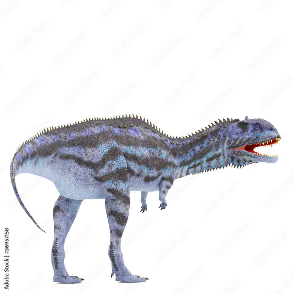 Naklejka premium blue majungasaurus back side view