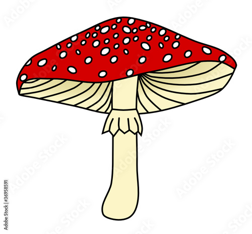 fliegenpilz