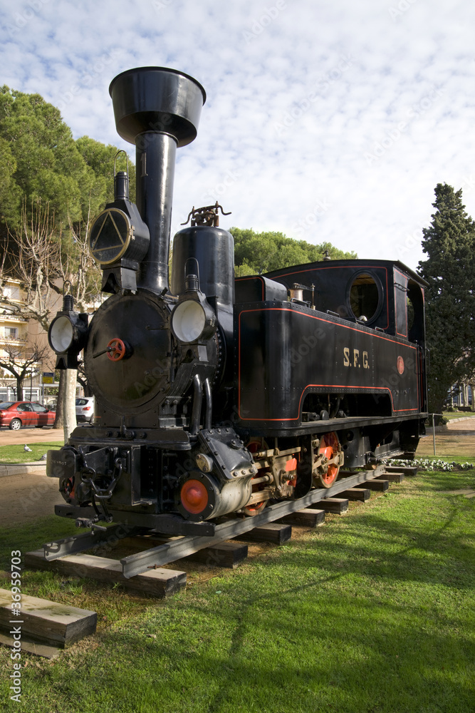 Naklejka premium tren