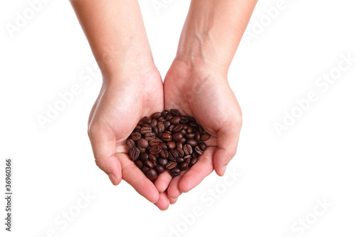 Coffee Bean in the hand