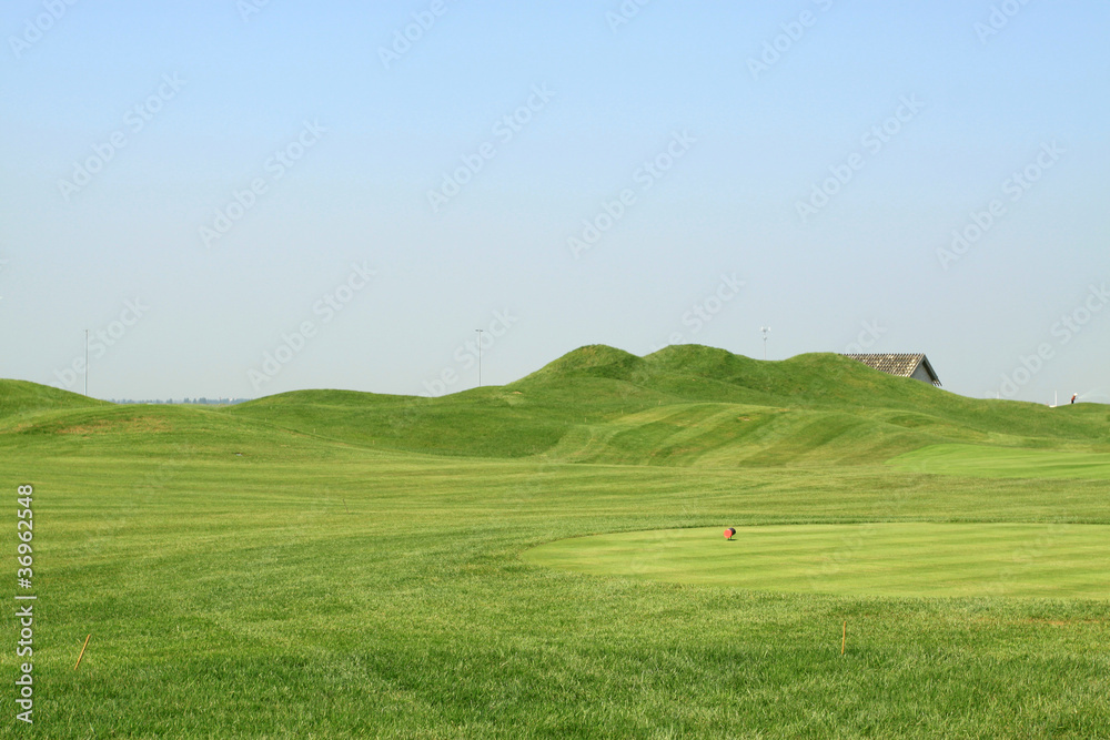 Naklejka premium grass on the golf course