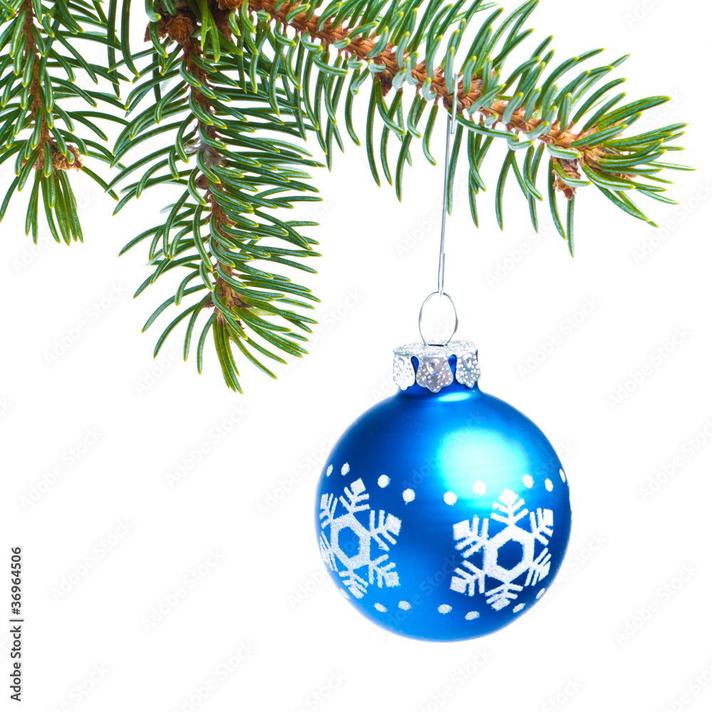 ball hanging from spruce christmas tree ball hanging from spruce christmas tree
