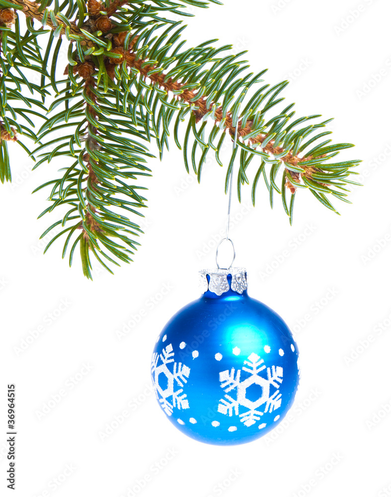 ball hanging from spruce christmas tree ball hanging from spruce christmas tree
