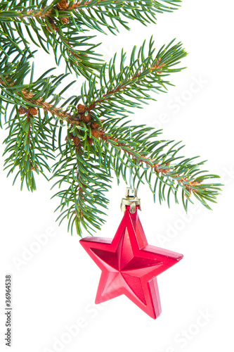 red christmas star hanging from tree