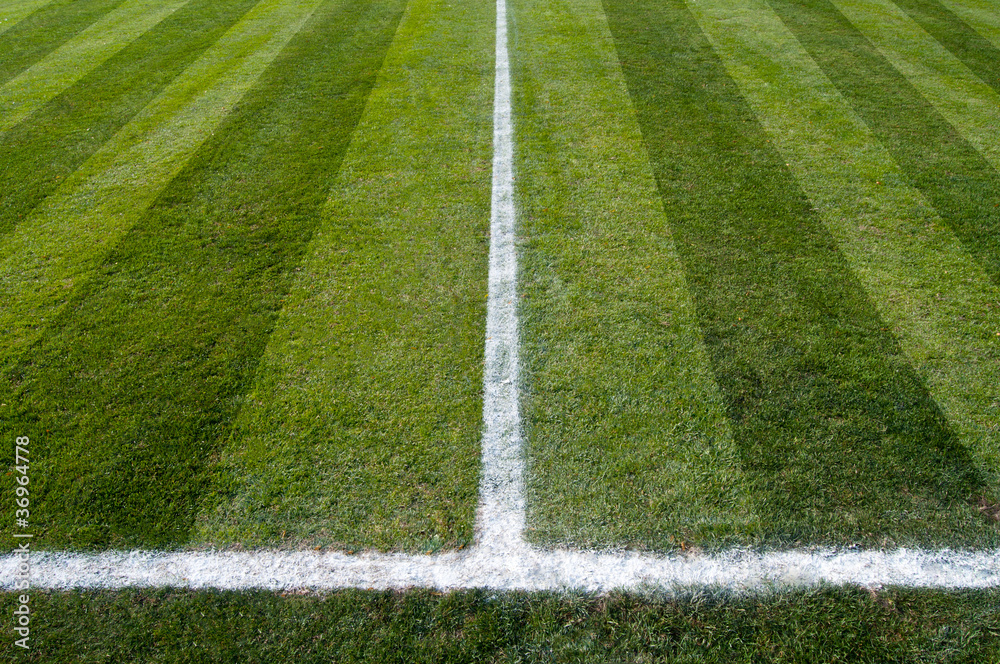 Naklejka premium soccer field