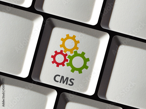 CMS System selbst pflegen photo