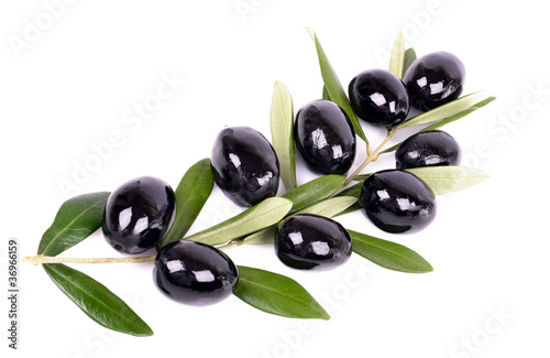 Fototapeta Naklejka Na Ścianę i Meble -  Black olives with green leaves isolated white background