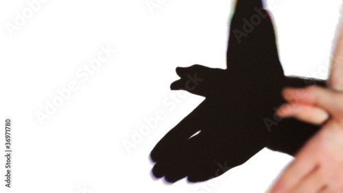 shadow in form of bird that flutters on white wall photo