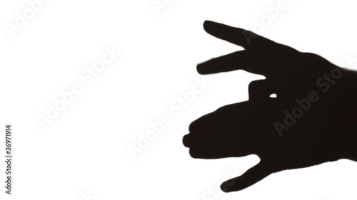 hands make shadow in form of wolf that runs on white photo