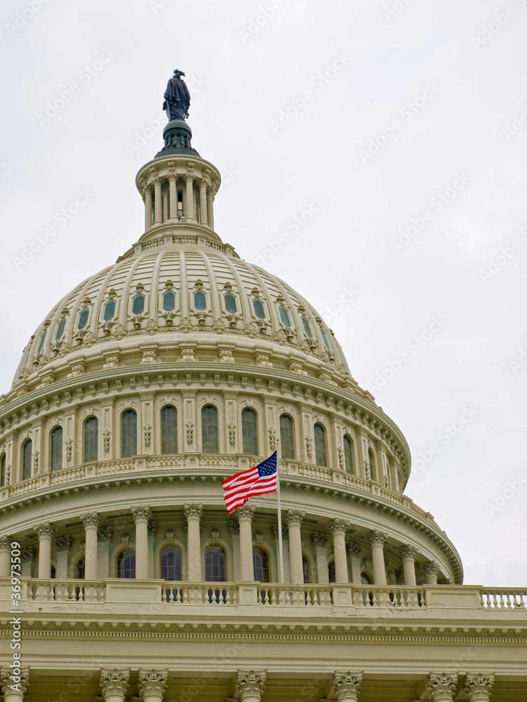 Obraz premium US Capitol Building in Washington DC with American Flag