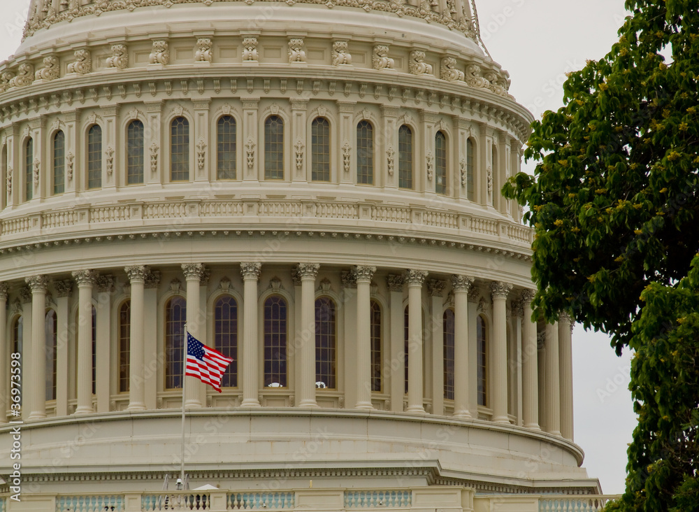US Capitol Building in Washington DC with American Flag