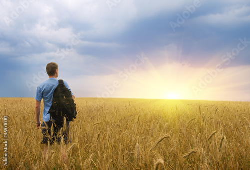 Man in yellow wheat meadow.