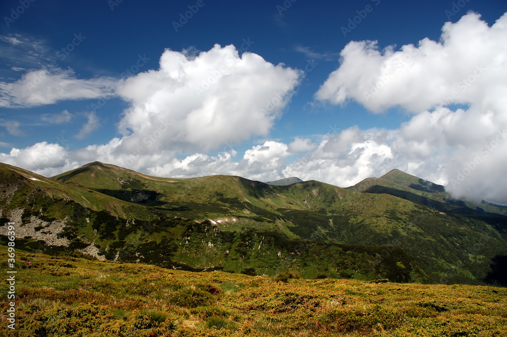Carpathian reserve Carpathian reserve