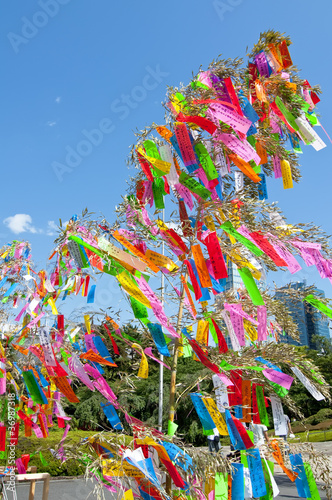 Colored paper tied to a tree, Japanese tradition