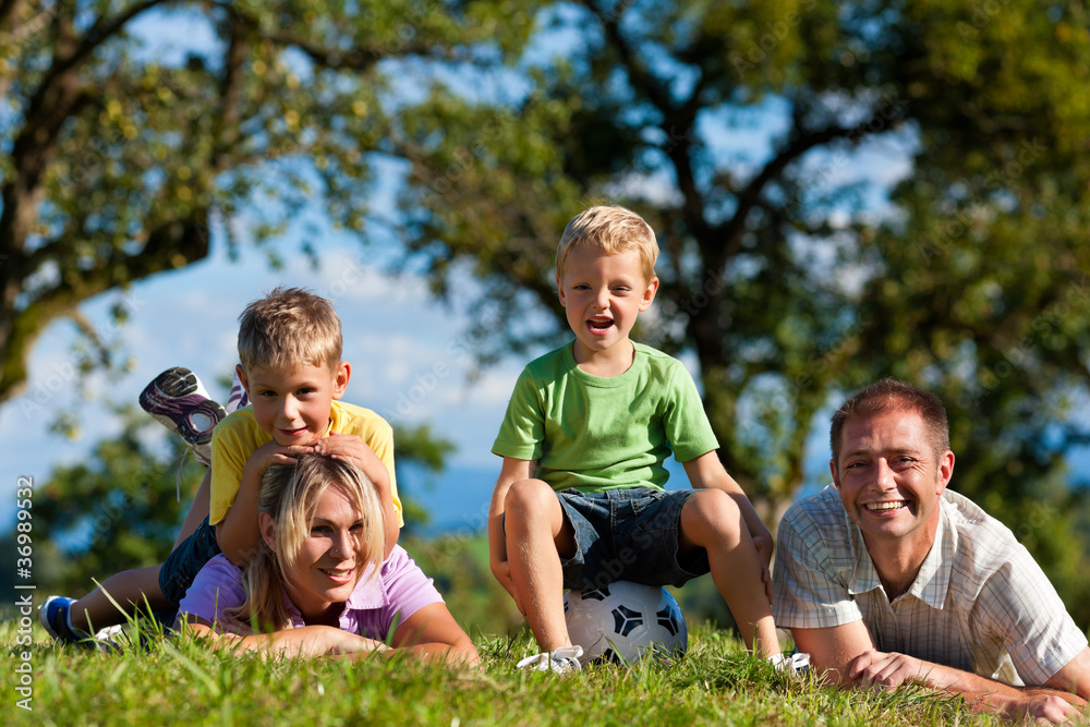 Family with children and football on a meadow Family with children and football on a meadow