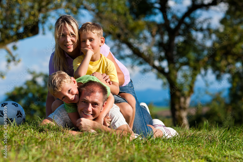 Familie mit Kindern und Fußball auf einer Wiese Familie mit Kindern und Fußball auf einer Wiese