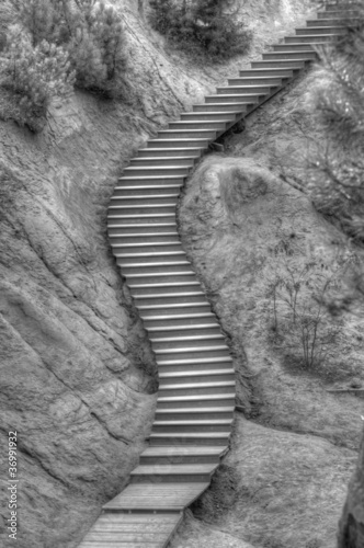 Black & white staircase in a park inside ochre quarry, France #36991932