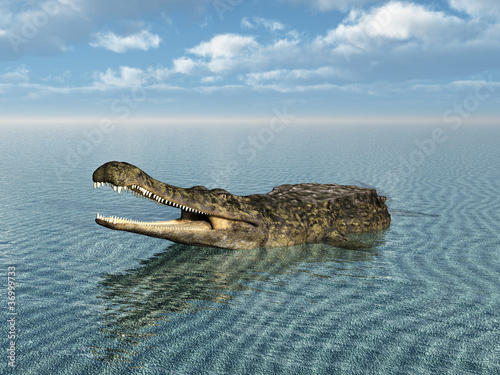 Crocodile at the Beach photo