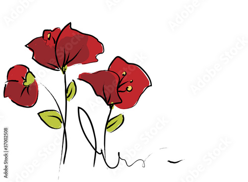 Mohnblumen auf Weiß
