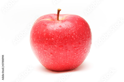 fresh apple