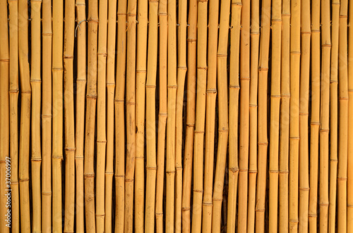 Fototapeta Naklejka Na Ścianę i Meble -  Background Texture Of A Bamboo Fence In The Tropics