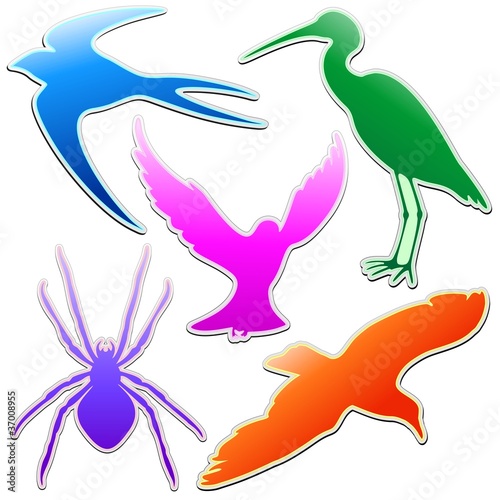 Animali Astratti Logo Colori-Animals Stickers Abstract Colors-3