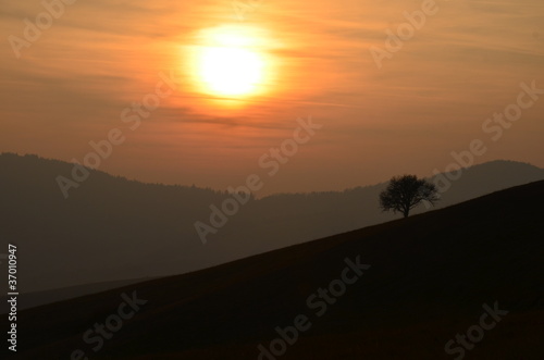 Landscape image with tree silhouette at sunset.