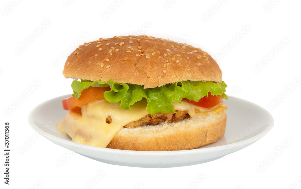 cheeseburger in a plate cheeseburger in a plate